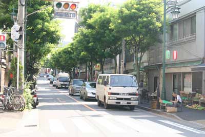 Zemusu-zaka-dori Street Lined with Chinese Scholar Trees