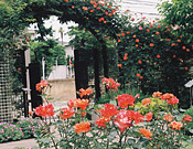 2.Nemunoki Garden