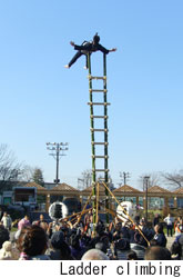 Ladder climbing