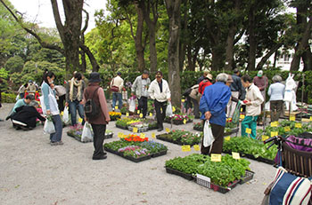 Greenery and Flower Festival